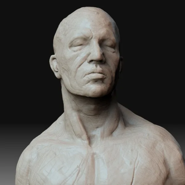 Realistic Human Clay Sculpture For Beginners