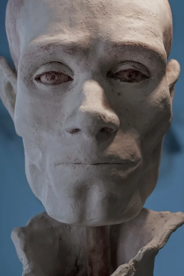 Realistic Human Clay Sculpture For Beginners