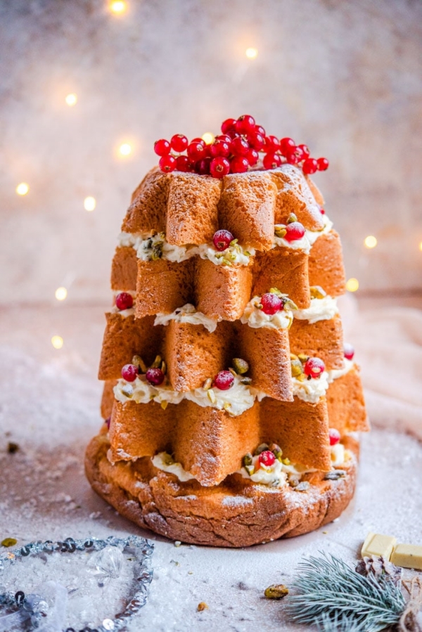 40 Stunning Christmas Cake Decoration Ideas - Hobby Lesson