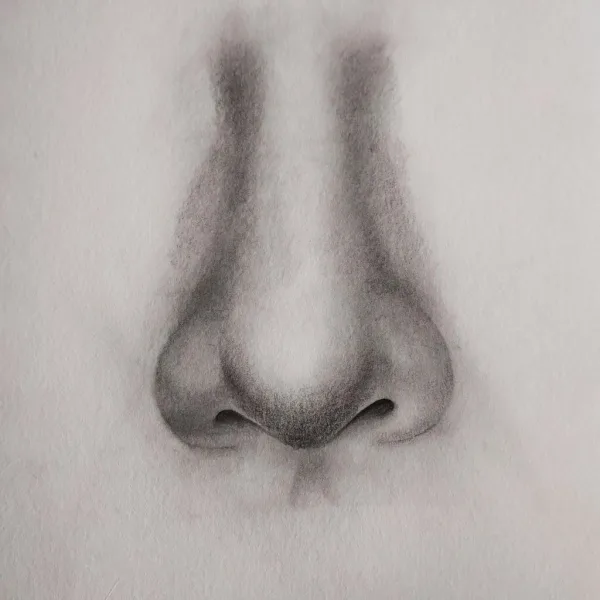 How to Draw a Nose