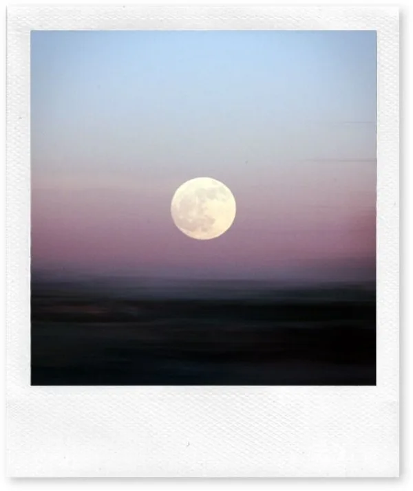 Polaroid Paintings Ideas