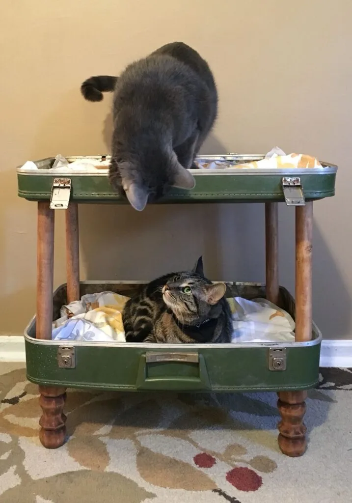 Cozy Pet Bed