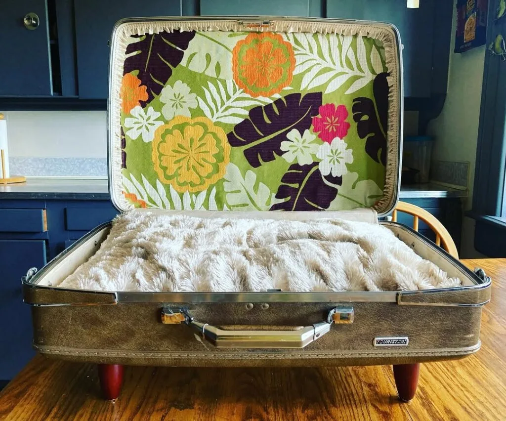 Cozy Pet Bed