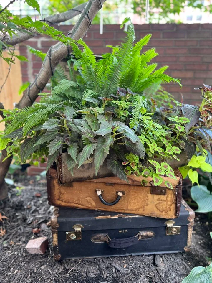 Planter